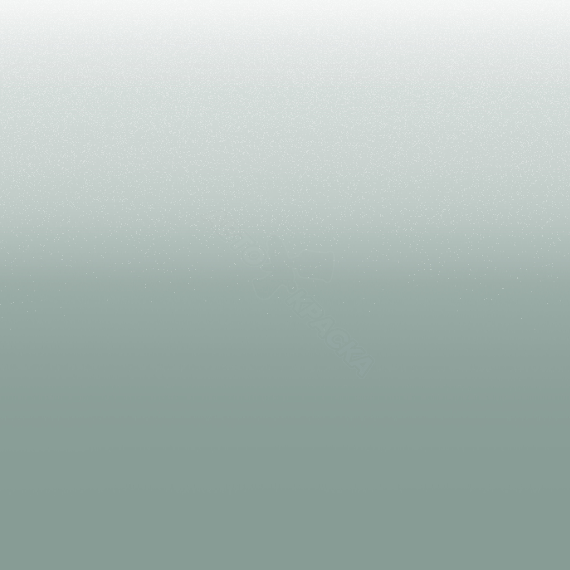 Moderate Silver превью #1