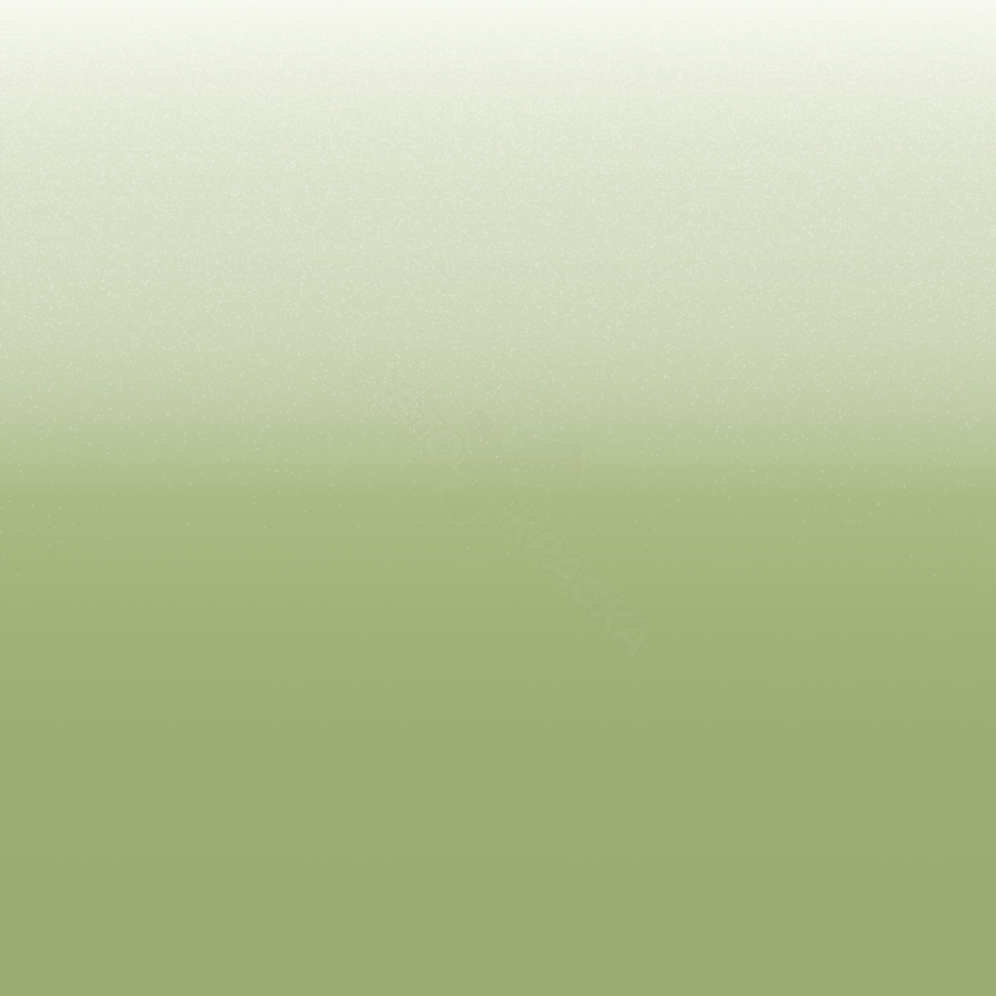 Racing Green превью #1