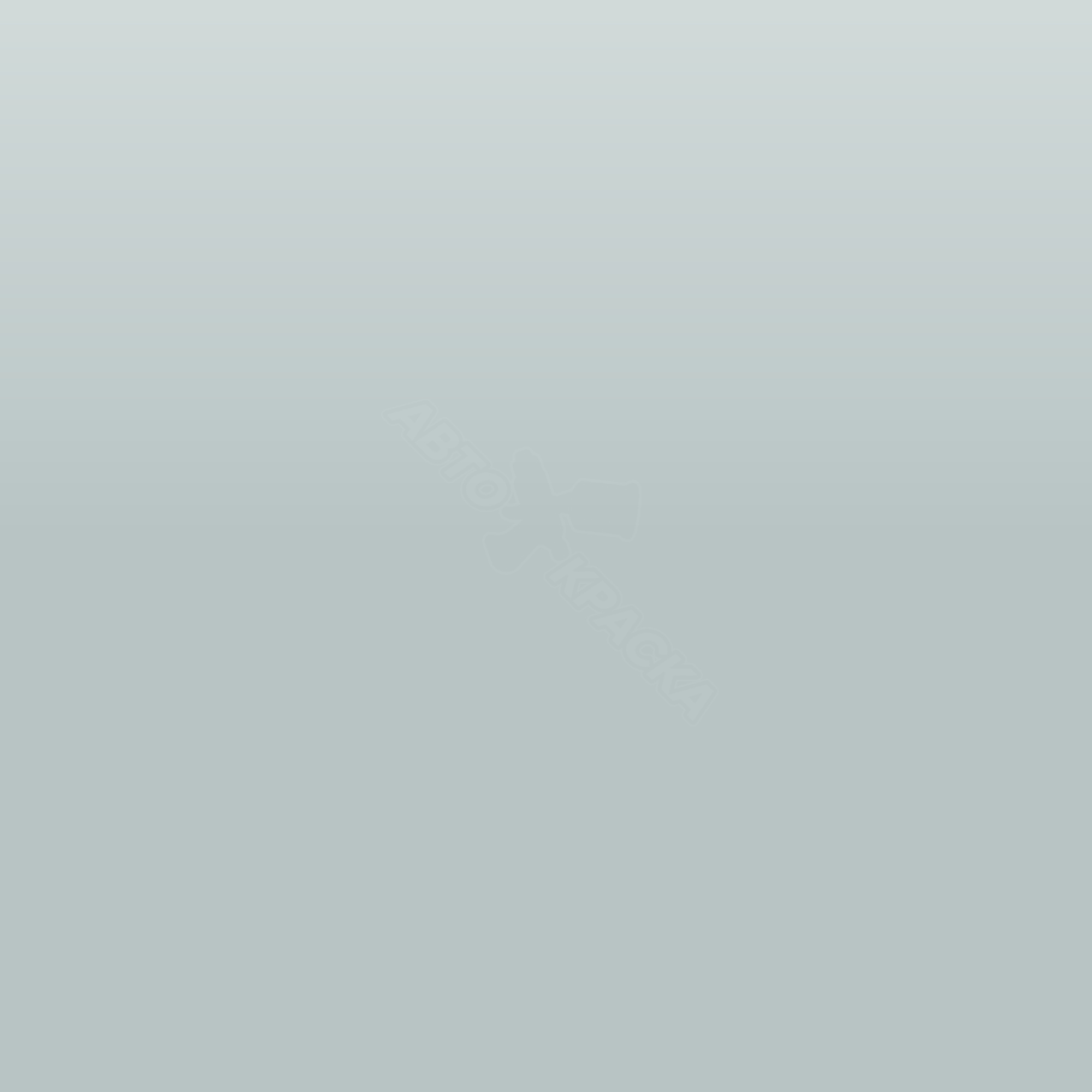 Gris Sideral Cam. превью #1