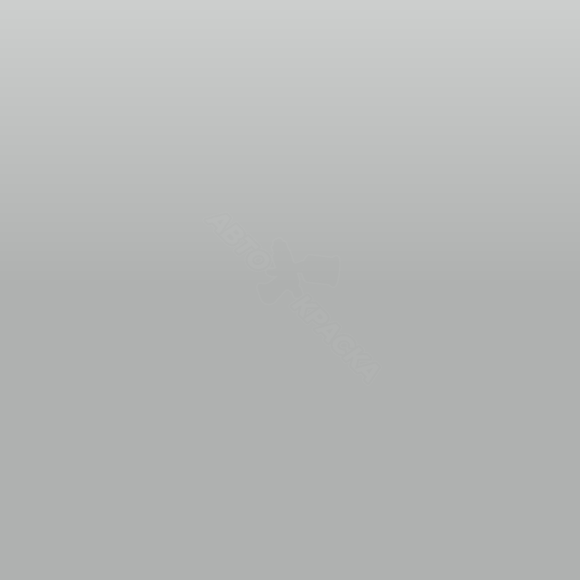 Roof Rack Silver превью #1