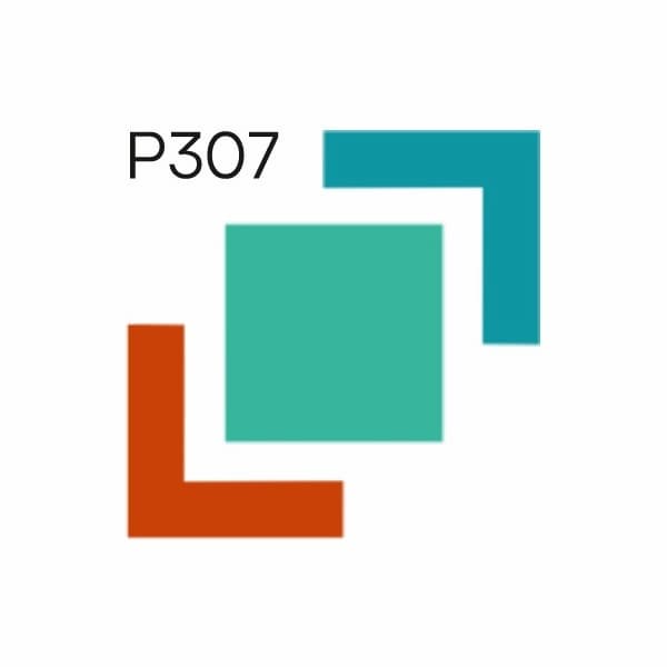 PAINT L.A.B. PRL Базовые пигменты перламутры 1л  превью #1