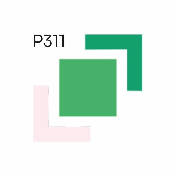 PAINT L.A.B. PRL Базовые пигменты перламутры 1л  превью #1