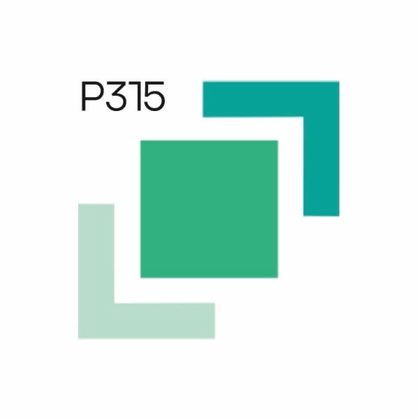 PAINT L.A.B. PRL Базовые пигменты перламутры 1л  превью #1